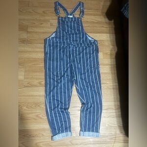 Cute Striped Blue Overalls (w stretch) women’s XL